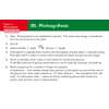 Solutions to six questions on photosynthesis, including the chemical equation and uses of glucose