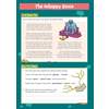A poem about an unhappy genie is read, followed by multiple-choice questions and a short written answer to test understanding