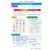 A revision page explaining the pH scale, indicators, and neutralisation reactions with diagrams and tables