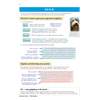Clear notes on the P.E.E.D. method for structuring essay points, with a worked example and a cartoon dog to make it memorable