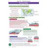 Clear notes on tectonic plates and margins, with diagrams showing how plates move and interact