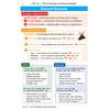 A revision summary of natural hazards, covering types, risk factors, effects and responses