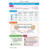 A revision page explaining density, particle arrangements in solids, liquids and gases, and physical versus chemical changes