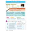 A revision page on books and reading, with vocabulary lists, grammar notes on the preterite tense