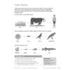 A page explains food chains with three examples, then asks children to name plants, animals and draw their own chain