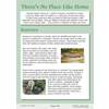 A reading passage about animal burrows, featuring photos of a water vole and a burrowing owl