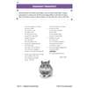 Two contrasting poems about a hamster, one cute and one mean, with a photo of a hamster at the bottom