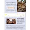 A page explaining the mysterious disappearance of Mayan cities, with a timeline and historical illustrations