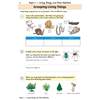 Children sort animals into columns, compare an insect and spider, and circle flowering plants to learn classification