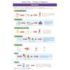 A clear explanation of the five main nutrients, using diagrams to show where they are found and what they do for the body