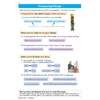 Clear rules and examples for using comparative adjectives, with illustrations to show how to compare things