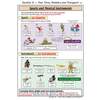 A colourful page teaching Spanish words for sports and musical instruments with cartoon illustrations and grammar rules