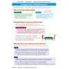 Clear notes on individual and team sports, with definitions of strategy and tactics and examples from boxing and tennis