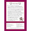 Advice on using the book to reinforce phonics learning, with tips on identifying sounds and copying pronunciation