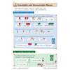 Clear definitions and examples of countable and uncountable nouns, with illustrations of food items to help visualise