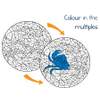 Children colour in all the multiples of 7 within a complex number maze to reveal a hidden crab