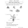 Children circle living things, label parts of a plant, and choose correct words to describe life status