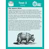 A reading passage about Albrecht Dürer drawing a rhino he had never seen, accompanied by a detailed illustration of