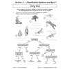Children use a dichotomous key to identify eight organisms by circling features and writing names