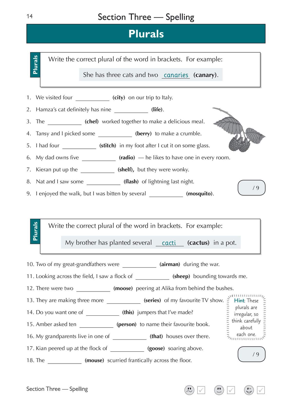 Children write the correct plural forms for 18 words, including tricky irregulars like sheep and cacti