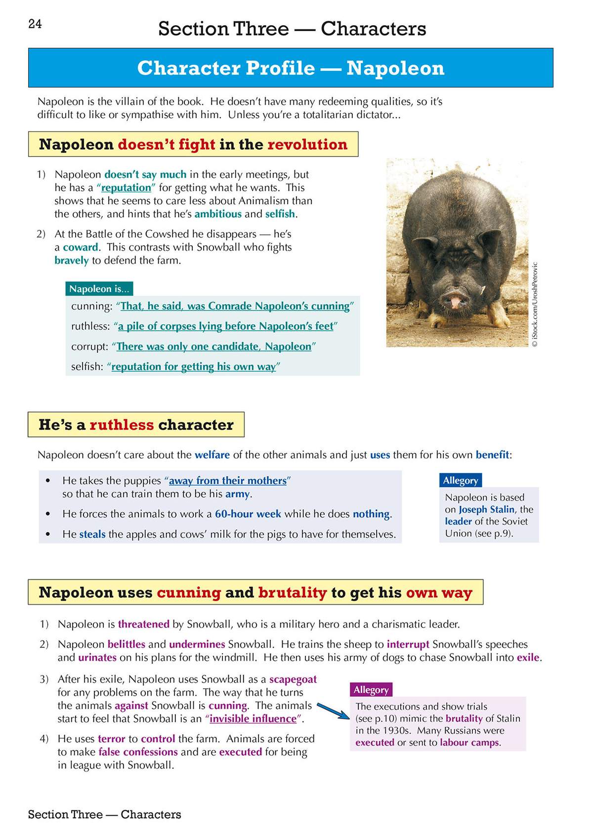 Detailed notes on Napoleon's villainy, cunning, and brutality, supported by a photograph of a pig