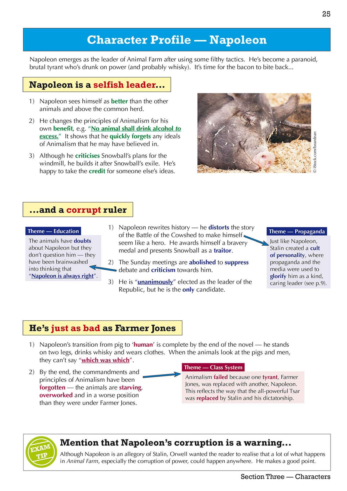 A detailed character profile of Napoleon from Animal Farm, analysing his selfishness and corruption with supporting text