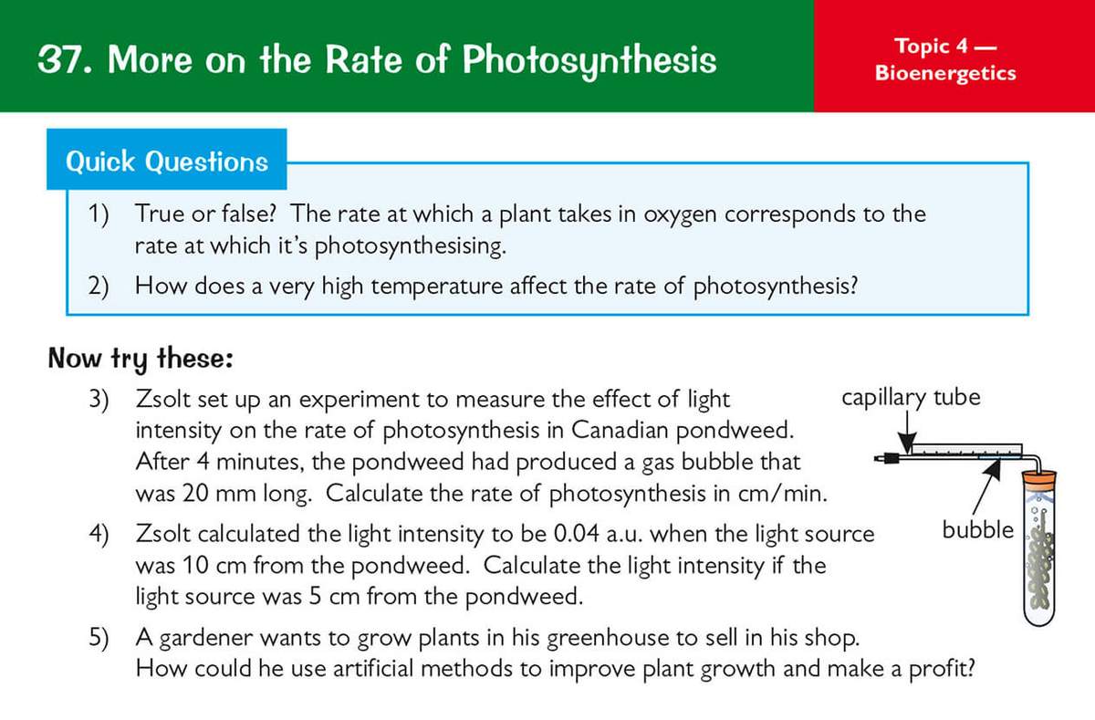 Five questions on photosynthesis rates, including a calculation using a diagram of a capillary tube measuring gas bubbles