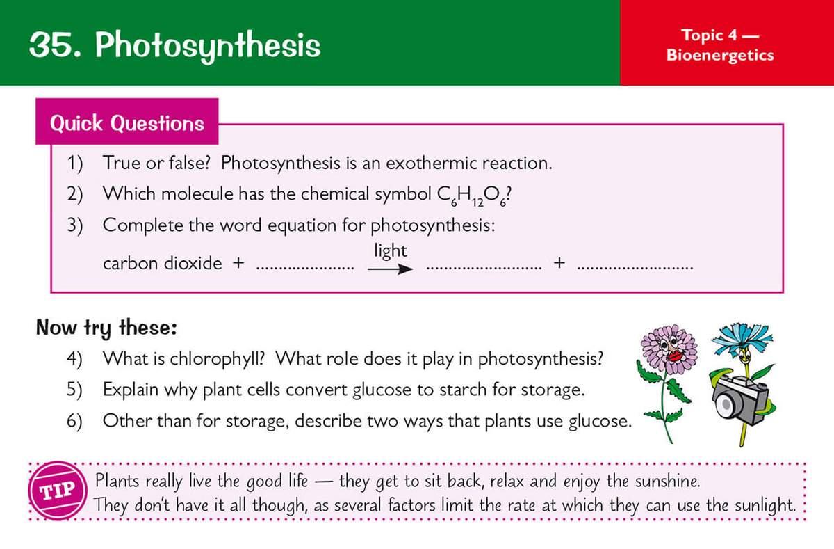 Six questions on photosynthesis, including true/false, completing a word equation