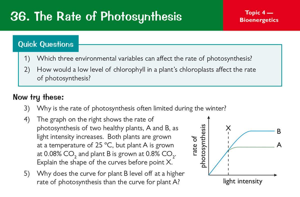 Five short-answer questions on environmental factors and a graph interpretation task to explain photosynthesis rates