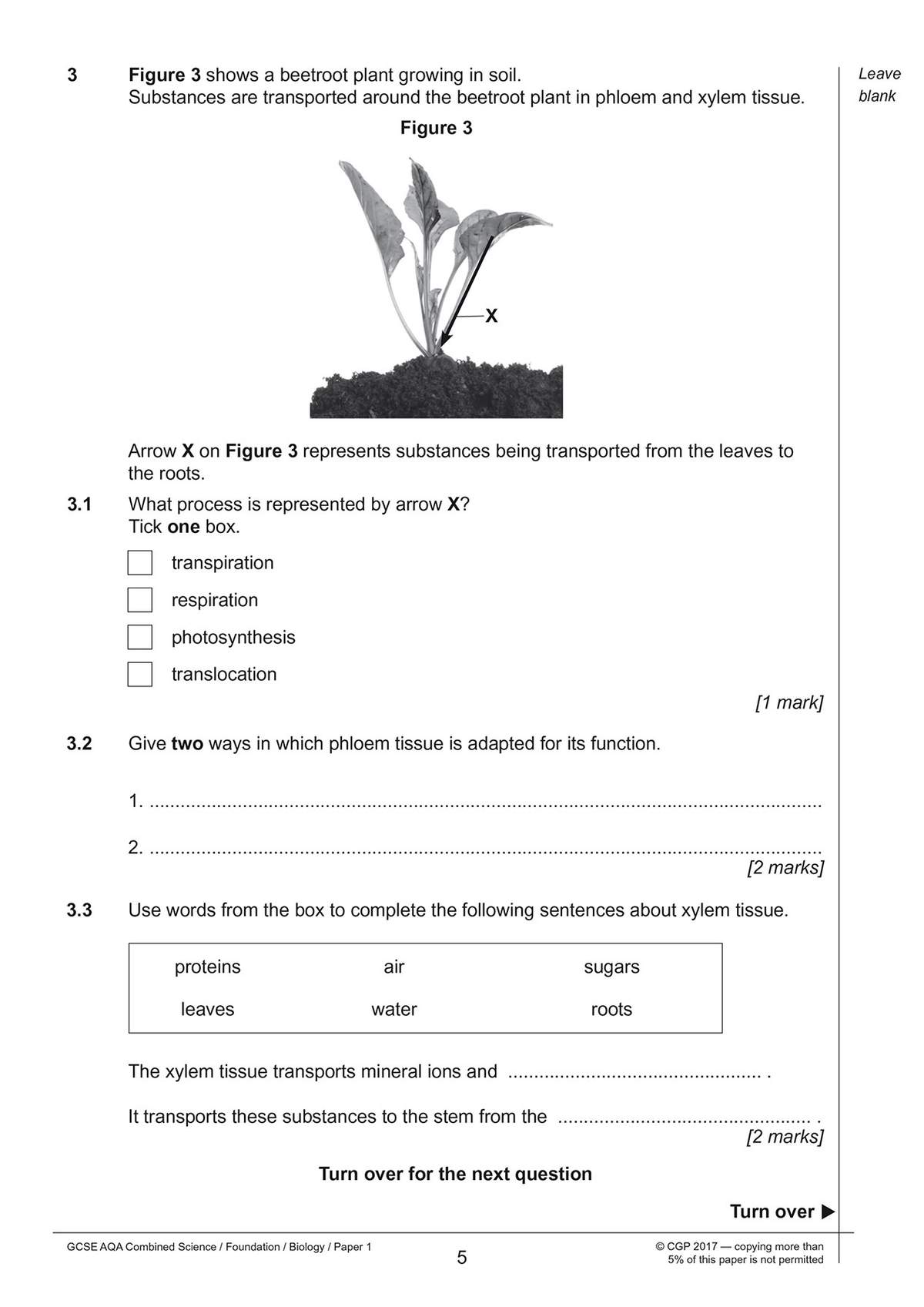 A science question page with a diagram of a beetroot plant, asking students to identify transport processes and complete
