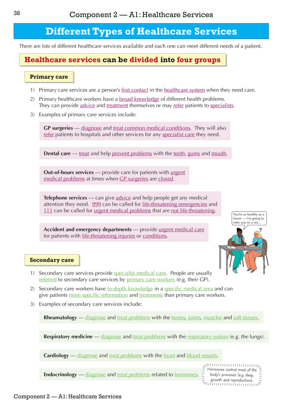 Clear notes on primary and secondary care, with examples like GP surgeries and cardiology