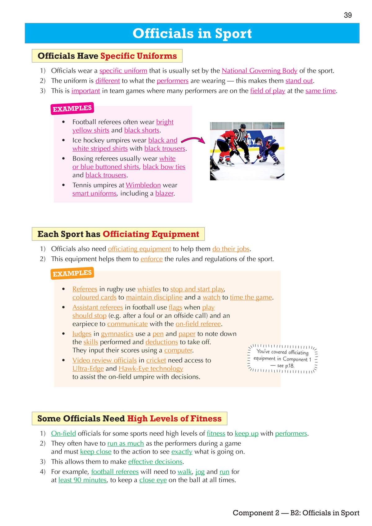 Clear notes on sports officials' uniforms and equipment, with examples and a photo of ice hockey players