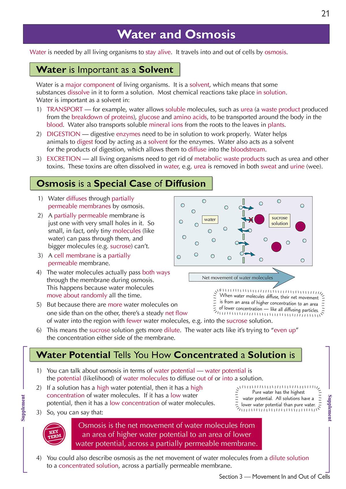 Clear notes on water and osmosis, with a diagram of a cell membrane and key terms highlighted