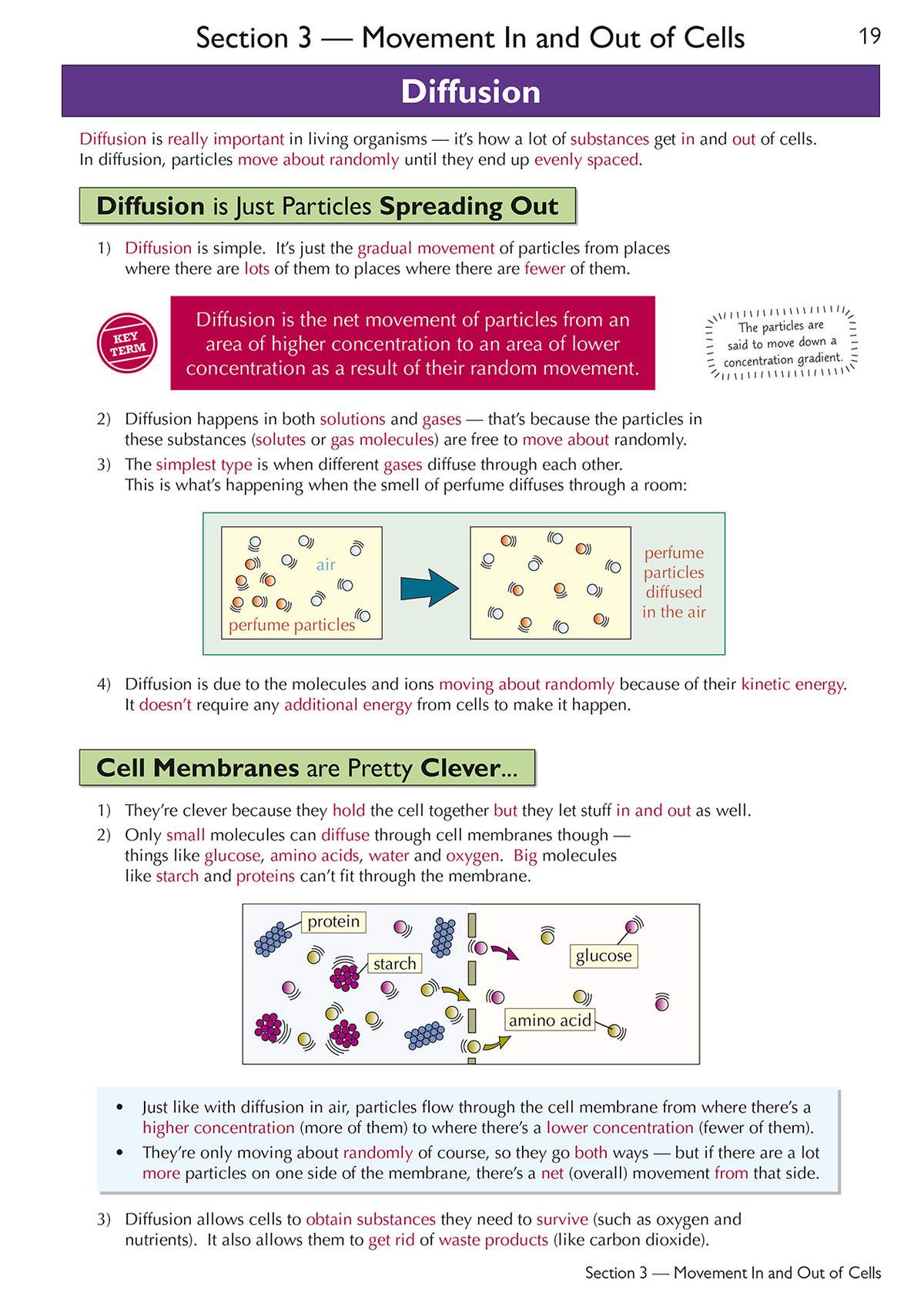Clear notes on diffusion and cell membranes, with diagrams showing particles moving and substances passing through
