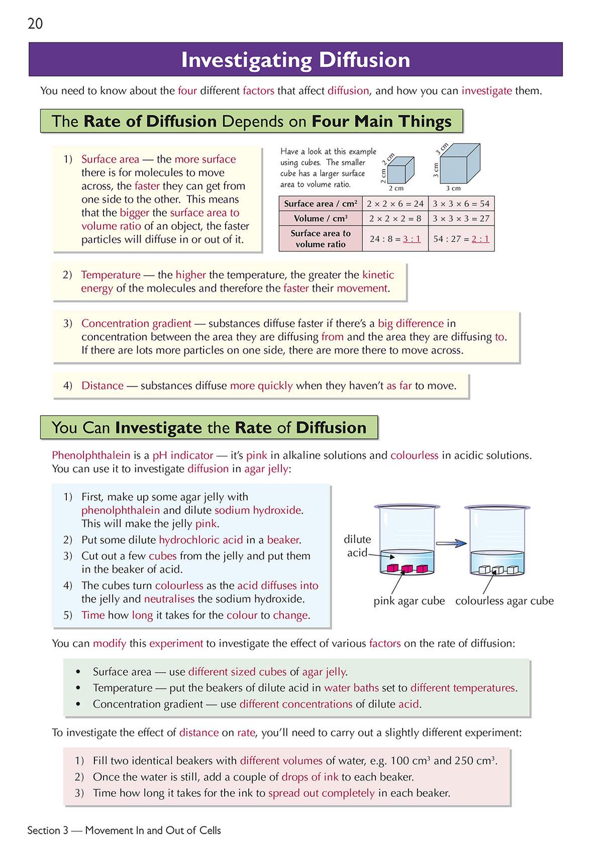 Clear notes on the four factors affecting diffusion, with diagrams of cubes and beakers to illustrate the experiments