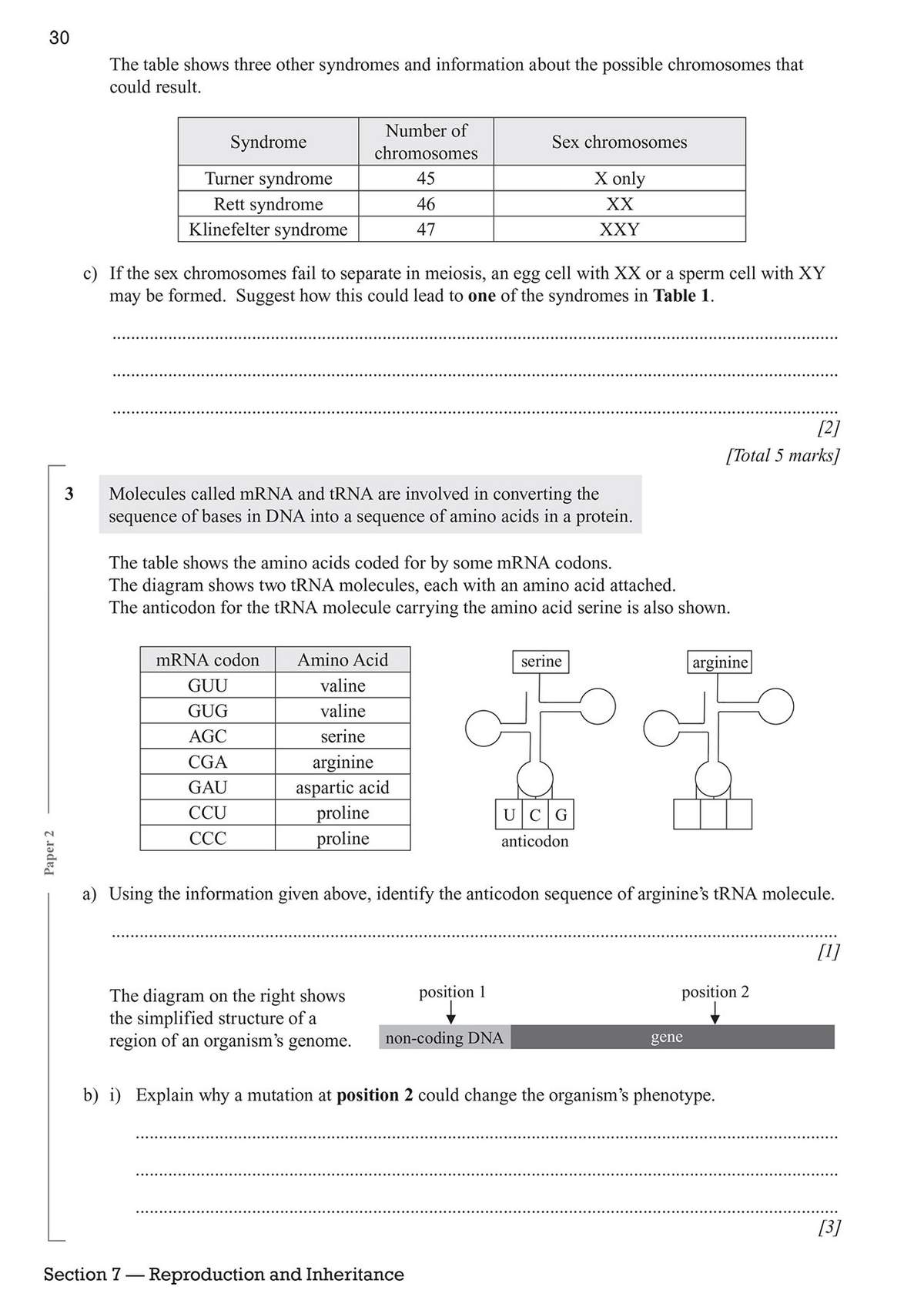 Students identify anticodons from a table and explain how a mutation changes phenotype using a DNA diagram