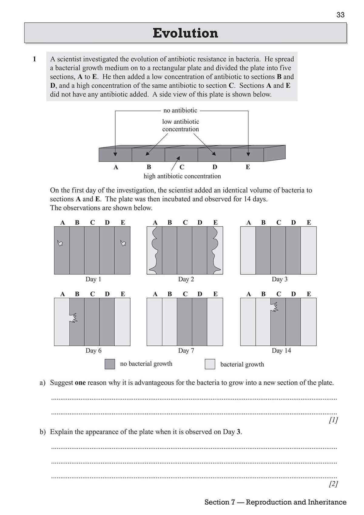 A diagram of a bacterial growth experiment with observations over 14 days, followed by two short-answer questions on growth