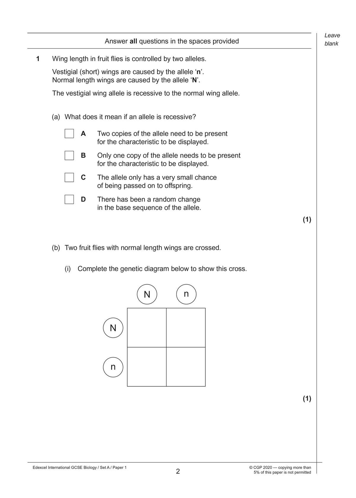 A genetics question on wing length in fruit flies, with a multiple-choice definition and a Punnett square to complete