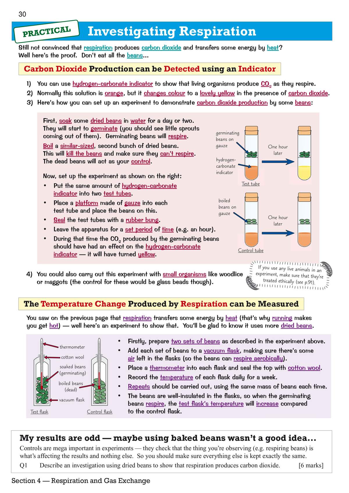 This page explains how to set up experiments to detect carbon dioxide and measure heat from respiration