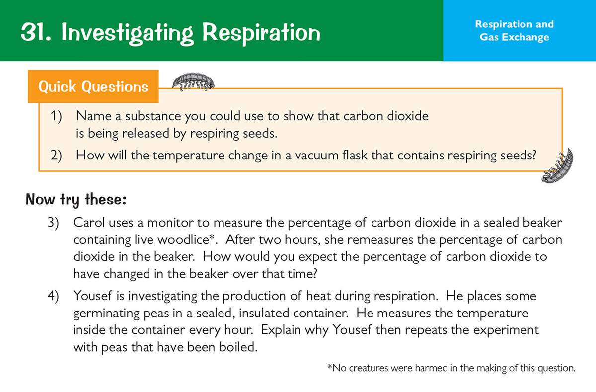 Four questions on respiration experiments, asking pupils to predict results and explain scientific reasoning
