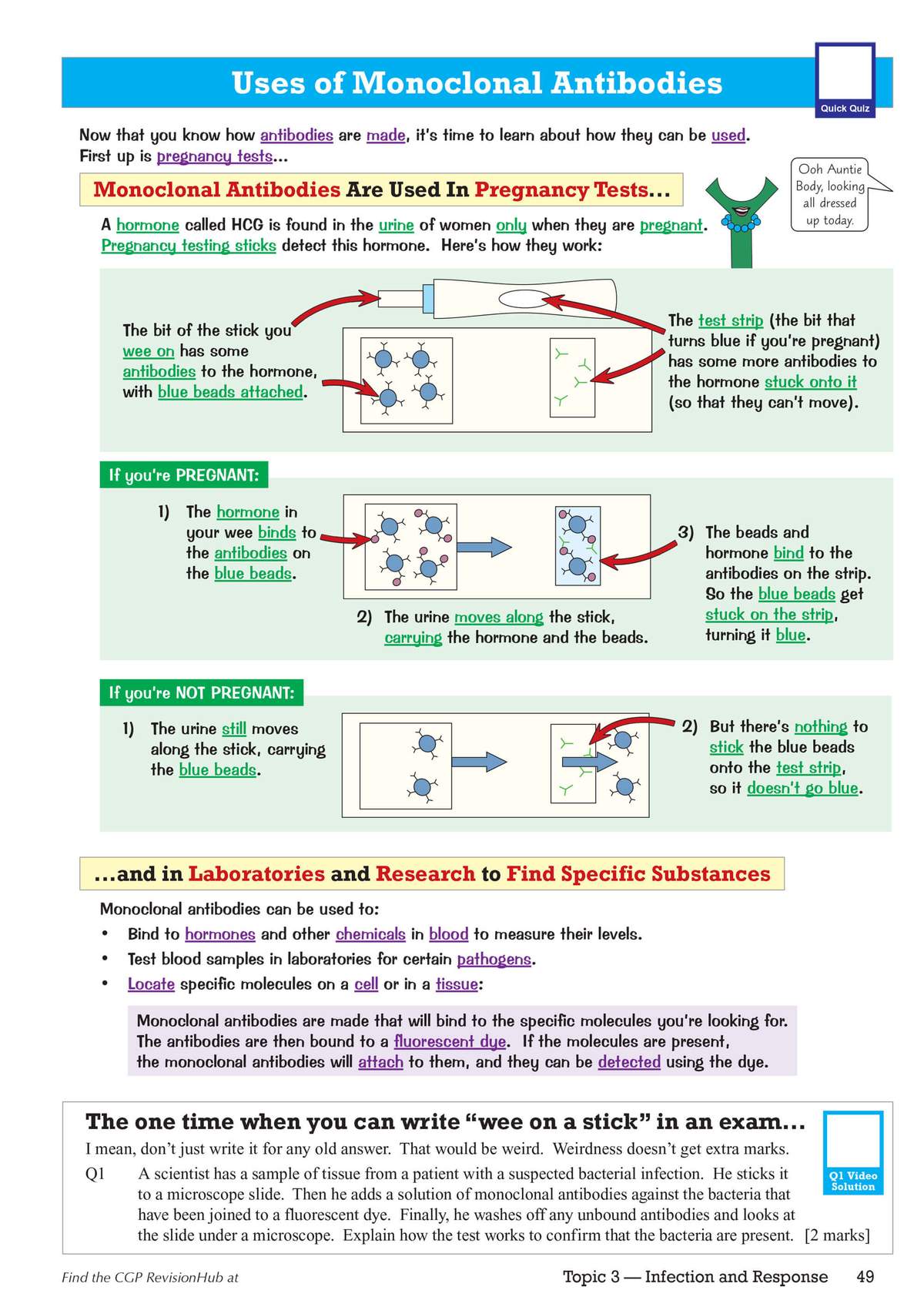 A page explains how pregnancy tests and lab research use monoclonal antibodies