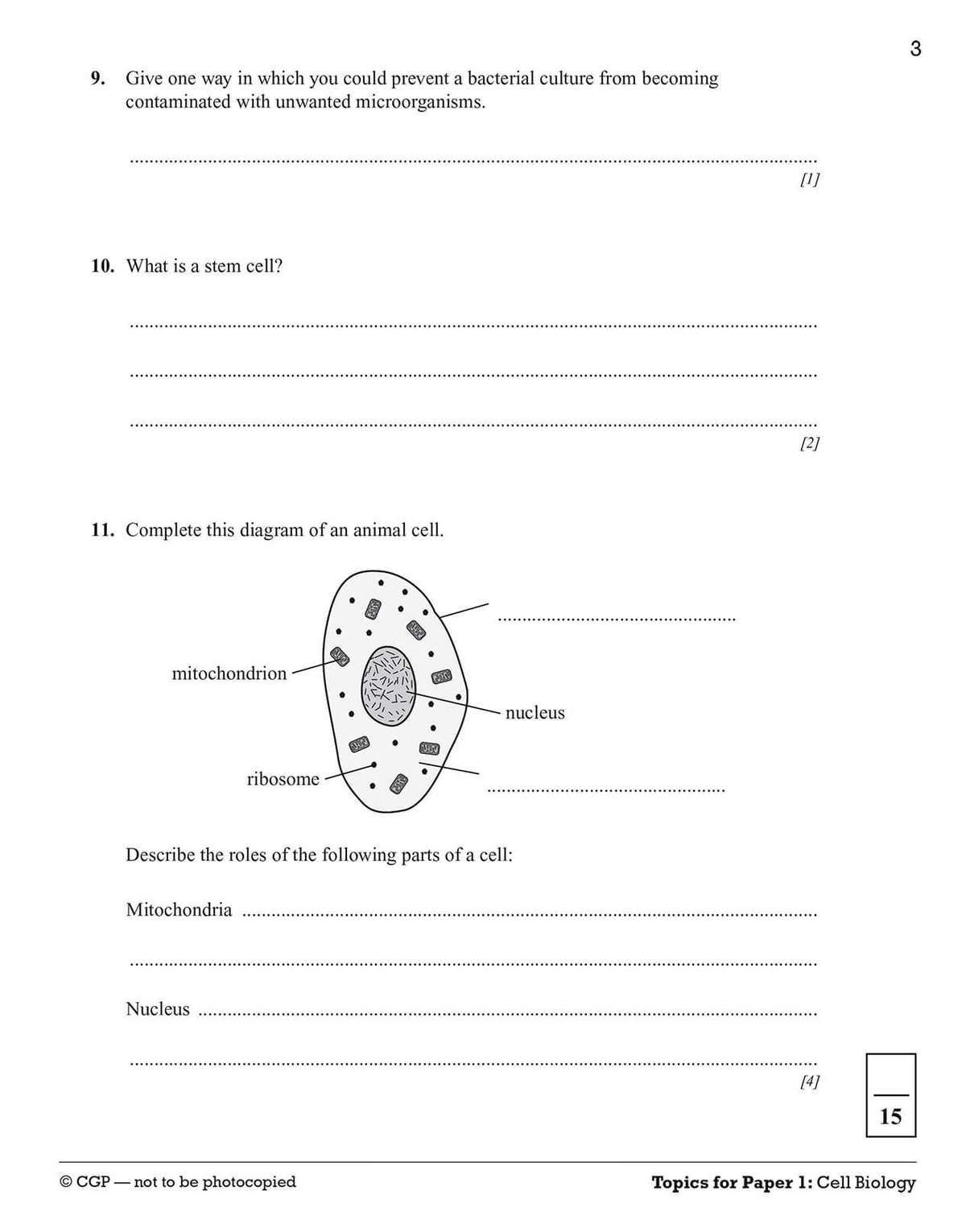 Students answer short questions on bacteria and stem cells, then label an animal cell diagram and describe the roles