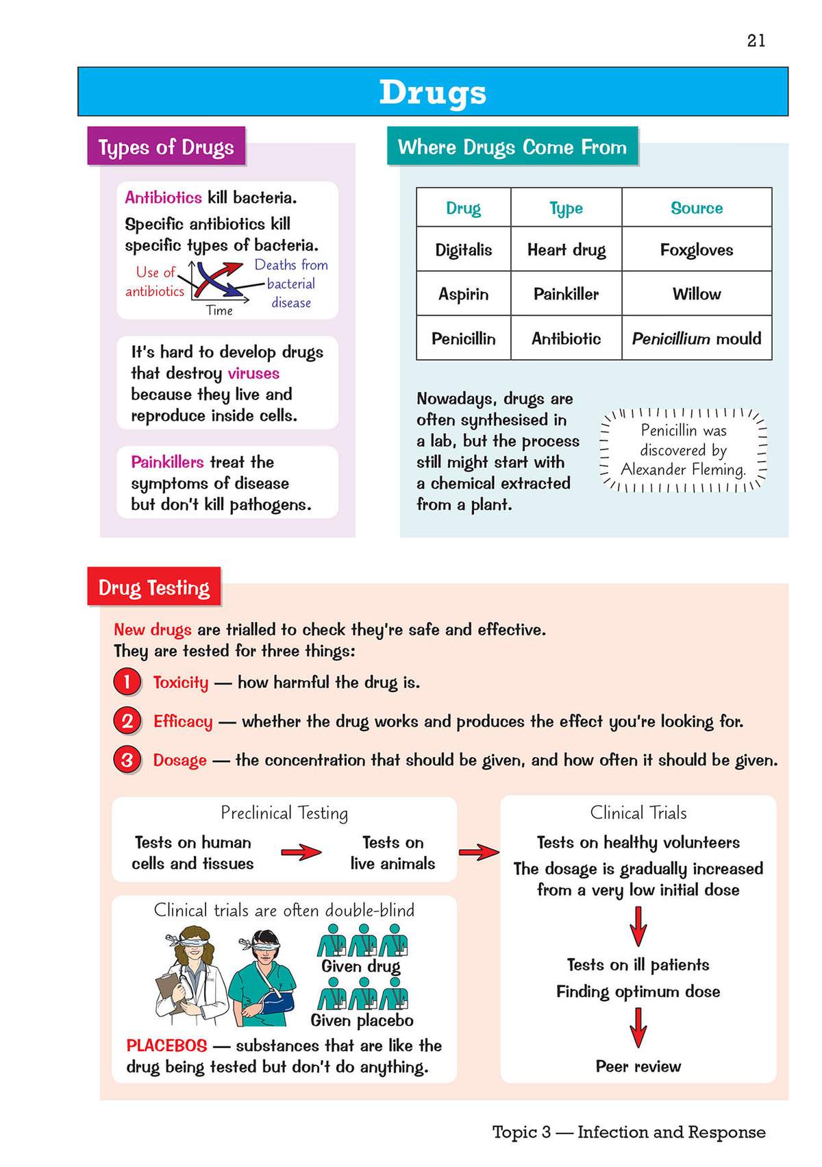 A revision page explaining types of drugs, their sources, and the stages of drug testing with diagrams