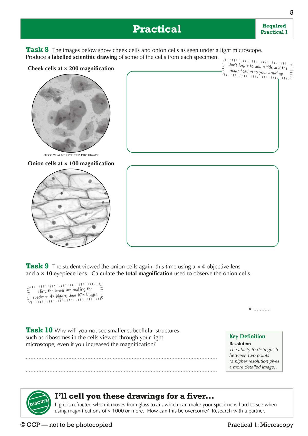 Students draw labelled cells from microscope images, calculate total magnification, and explain resolution limits