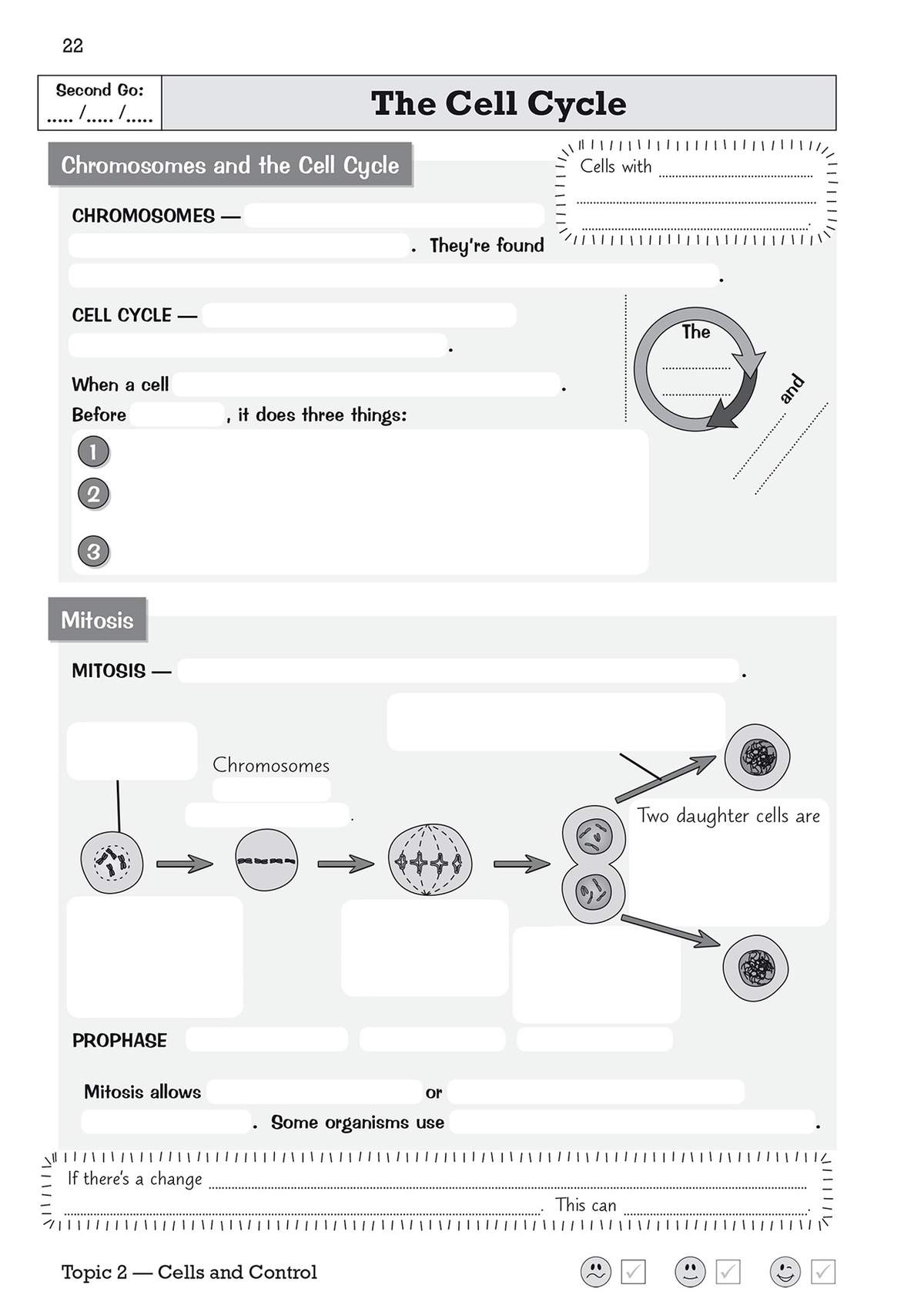 Students fill in blanks about chromosomes and mitosis stages, then label a diagram of cell division