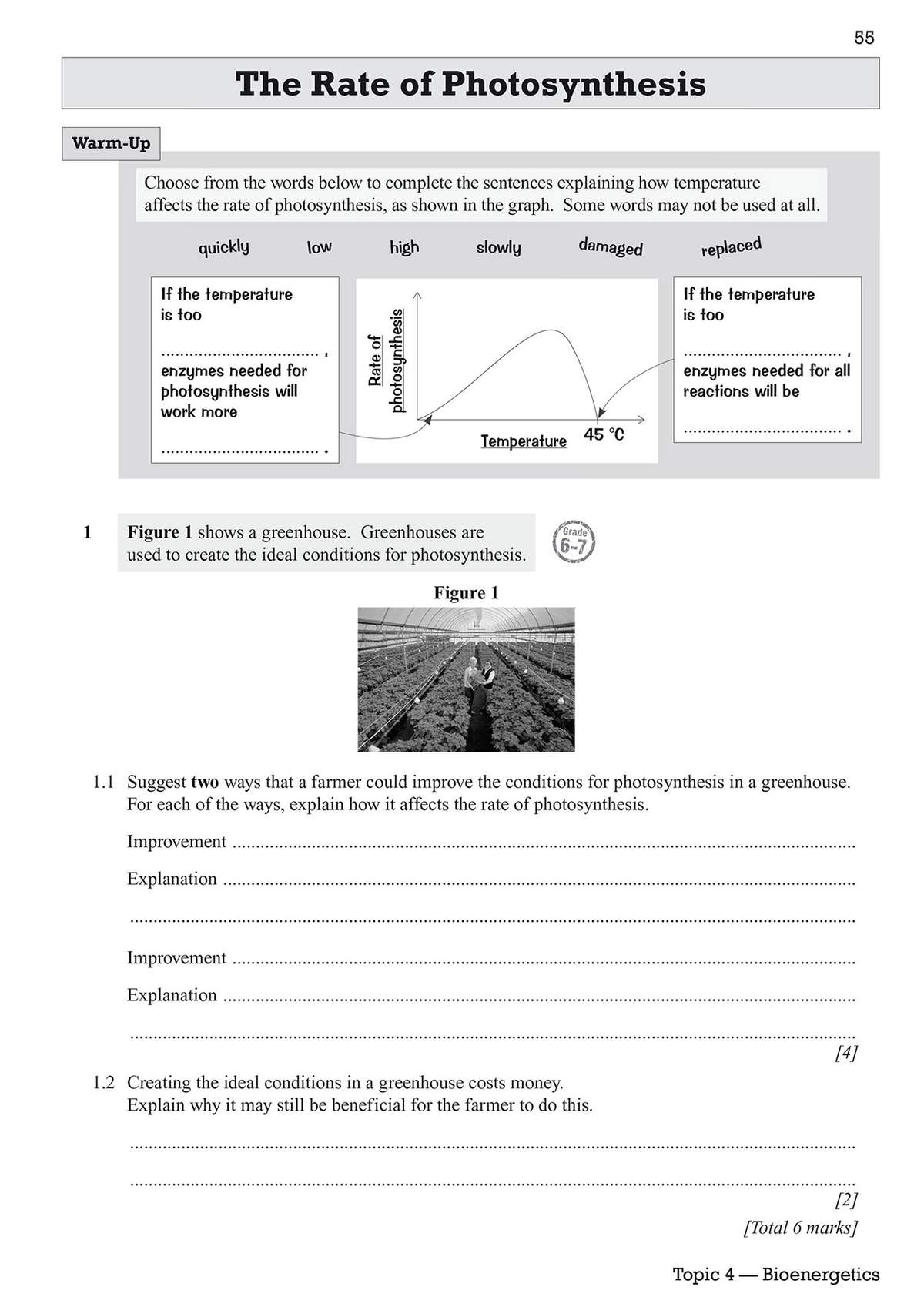 A warm-up fill-in-the-blank activity on temperature and enzymes, followed by questions on improving greenhouse conditions