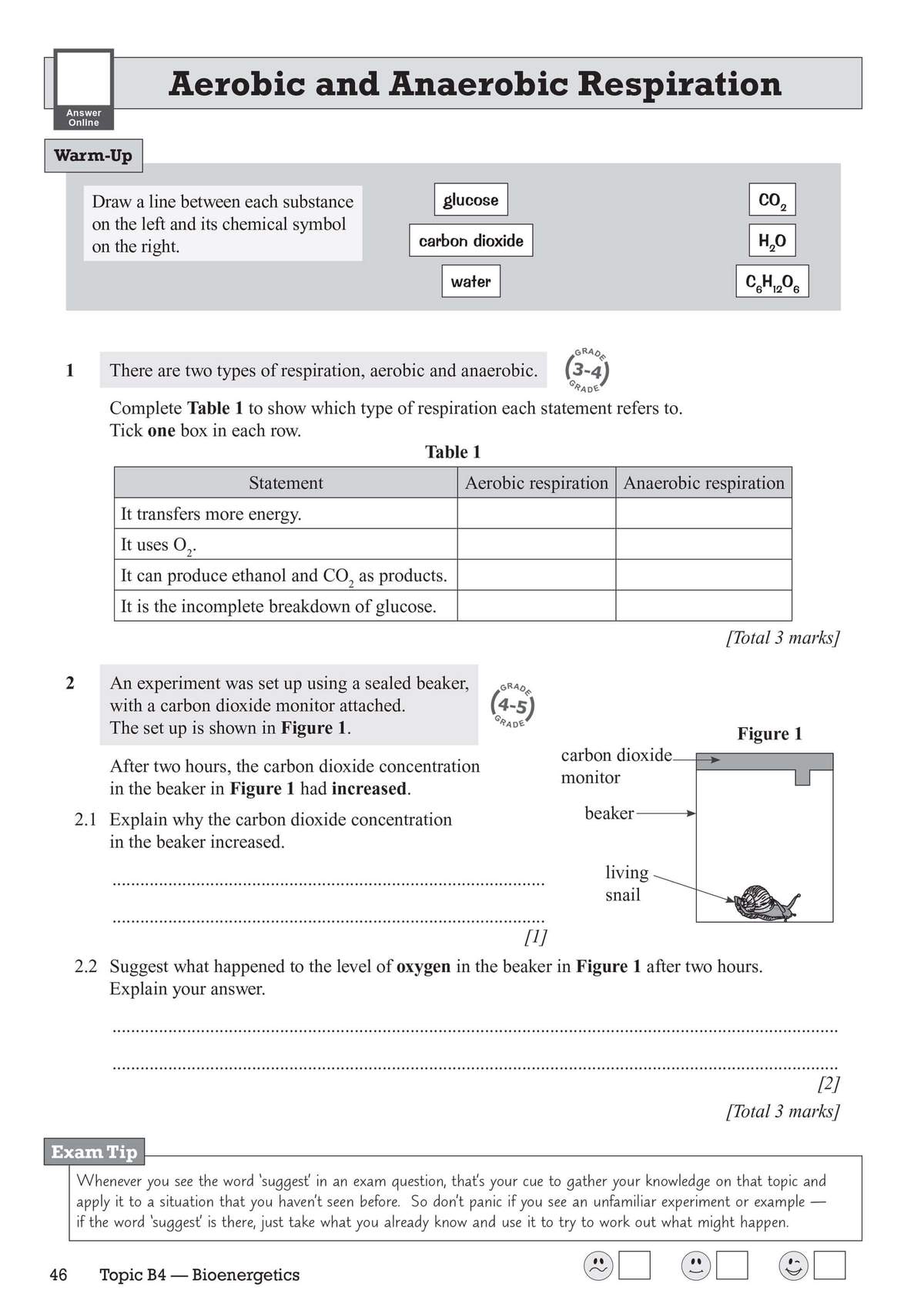 Pupils match substances to symbols, tick boxes to classify respiration types