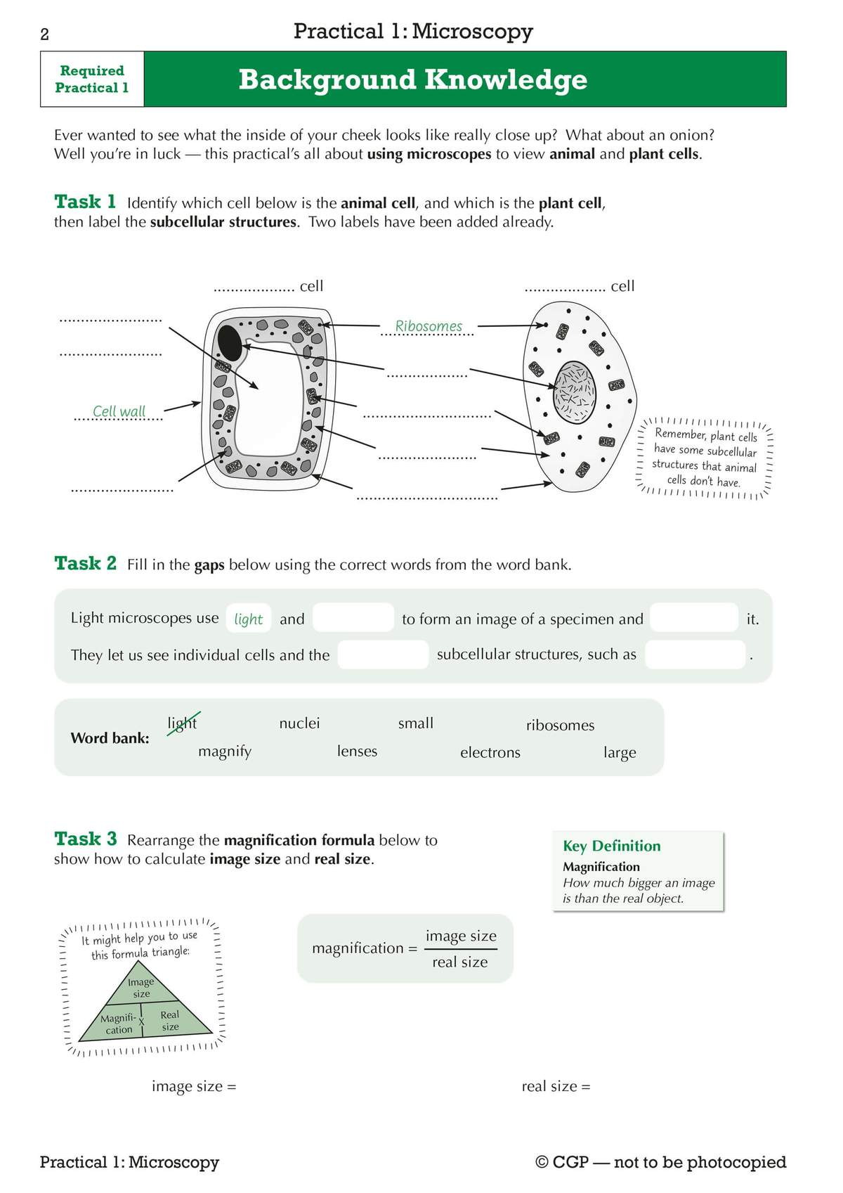 Students label animal and plant cells, fill gaps about microscopes, and rearrange the magnification formula
