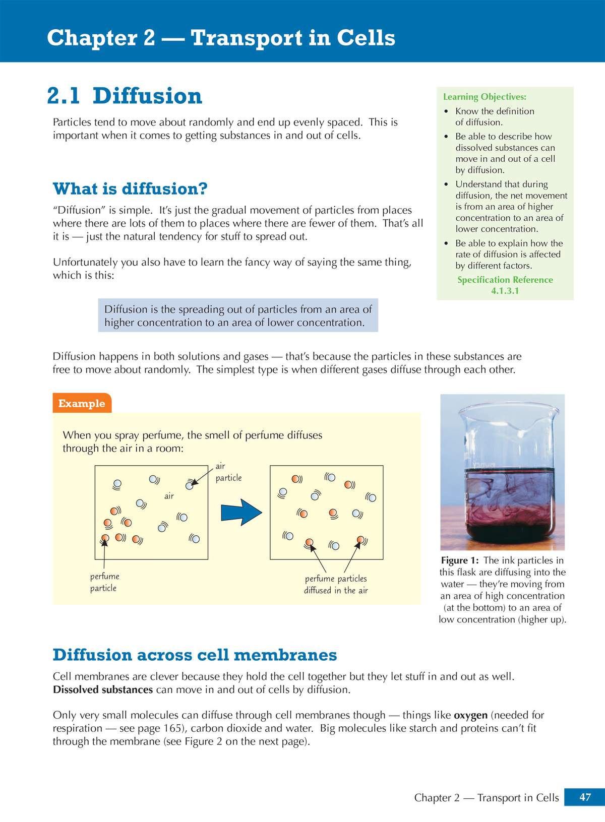Clear notes on diffusion with diagrams showing particles spreading out and a photo of ink in water