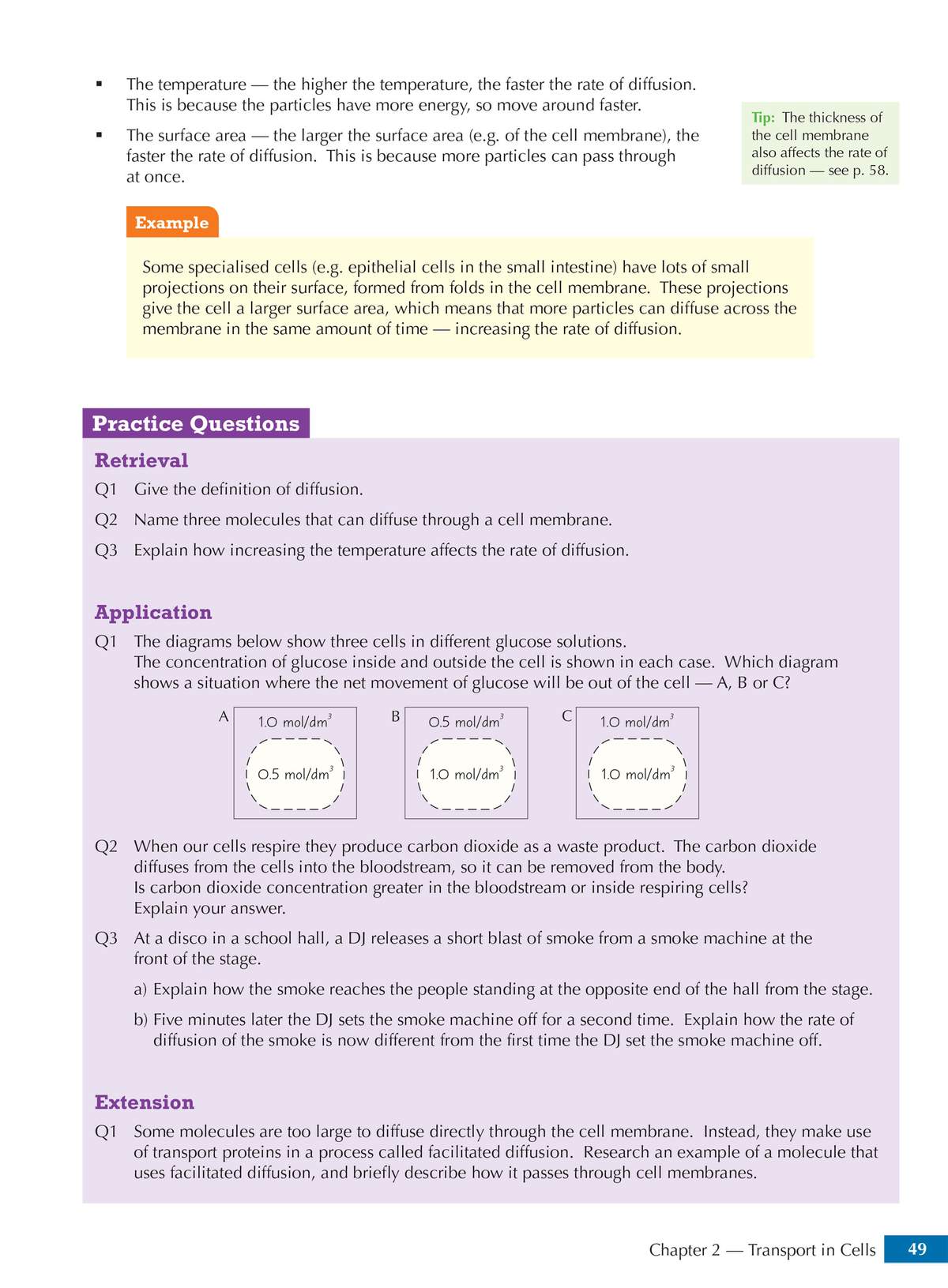 Six questions on diffusion and transport in cells, including diagrams to interpret and short explanations to write